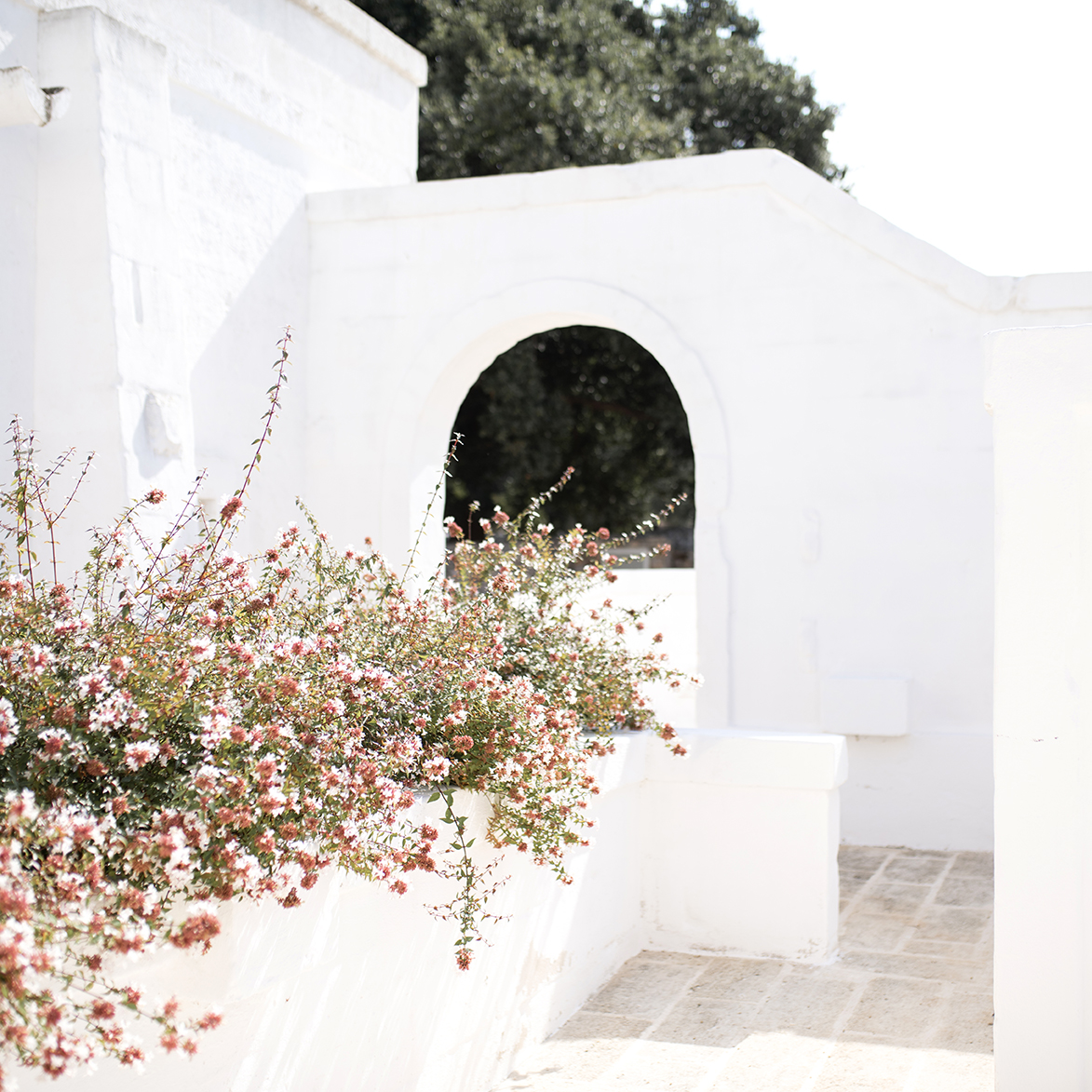 Masseria Le Carrube
