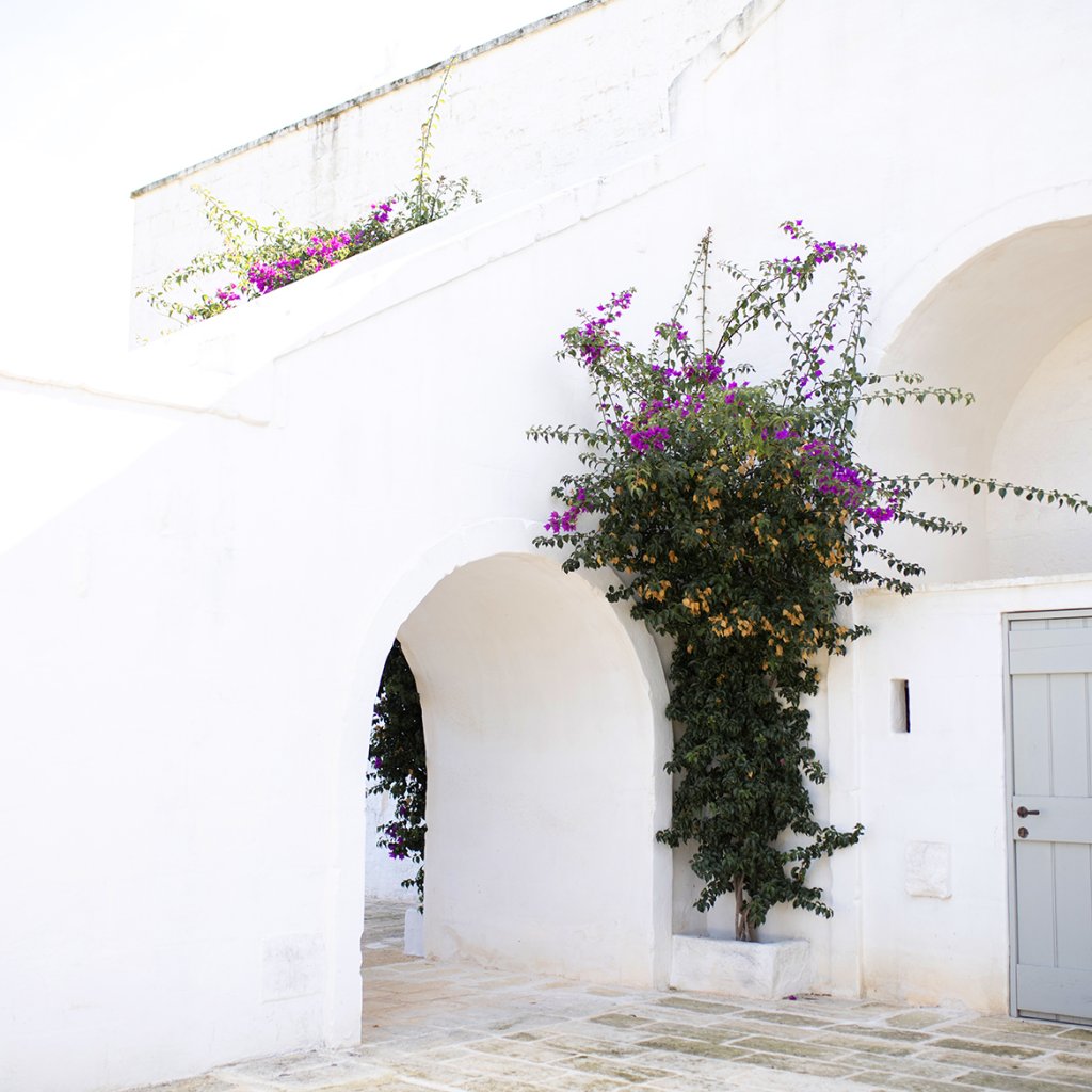 Masseria Le Carrube Ostuni